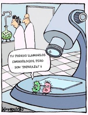 embriologos